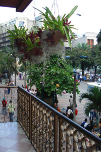 Fotos del hotel - HOTEL INTERNACIONAL