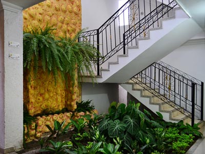 Fotos del hotel - Hotel San Miguel Imperial