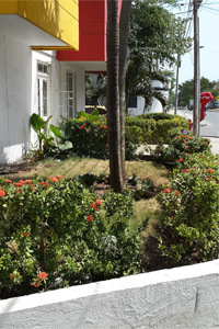 Fotos del hotel - HOTEL MAR DE PLATA