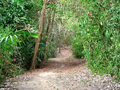 Fotos del hotel - POSADA ECOTURISTICA WIWA