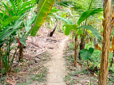 Fotos del hotel - POSADA ECOTURISTICA WIWA