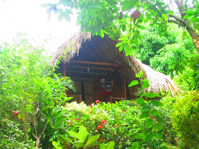 Fotos del hotel - POSADA ECOTURISTICA WIWA