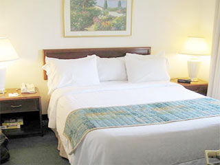 Fotos del hotel - HOTEL PEARL INN