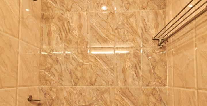 Fotos del hotel - HOTEL BASANT RESIDENCY