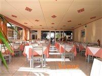 Fotos del hotel - VENUS BEACH HOTEL