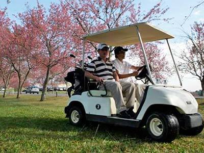 Fotos del hotel - PARADISE GOLF LAKE & RESORT