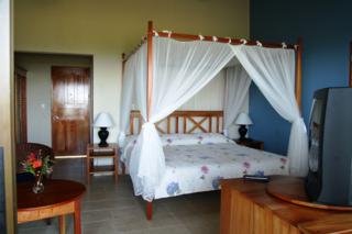 Fotos del hotel - Cristal Ballena