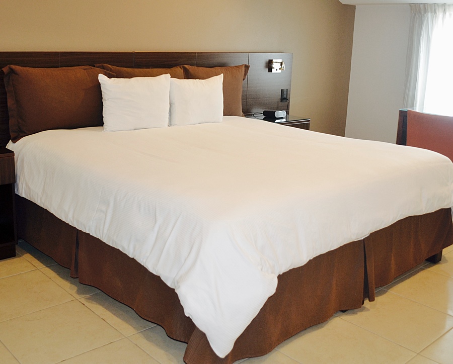 Fotos del hotel - PRESIDENTE