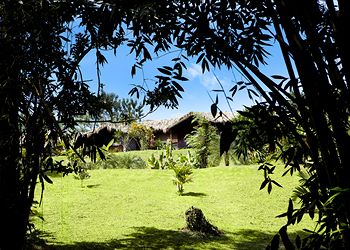 Fotos del hotel - Kokoro Arenal