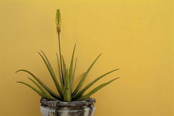 Fotos del hotel - THE DIPLOMAT BOUTIQUE HOTEL