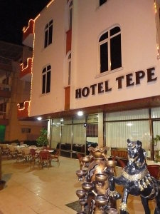 Fotos del hotel - TEPE