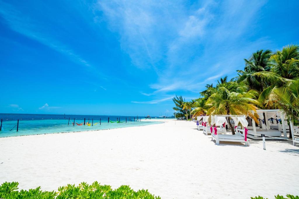 Fotos del hotel - OH! CANCUN THE URBAN OASIS - BEACH CLUB