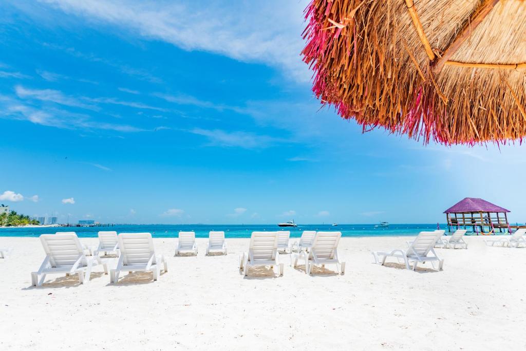 Fotos del hotel - OASIS PALM