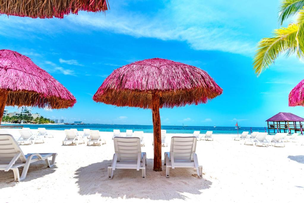 Fotos del hotel - OASIS PALM