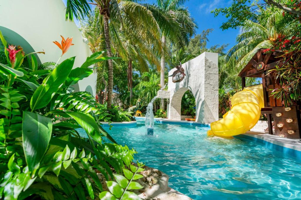 Fotos del hotel - OASIS PALM