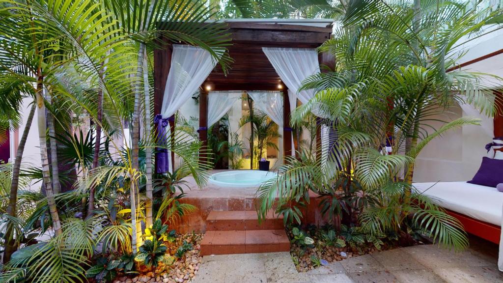 Fotos del hotel - OASIS PALM