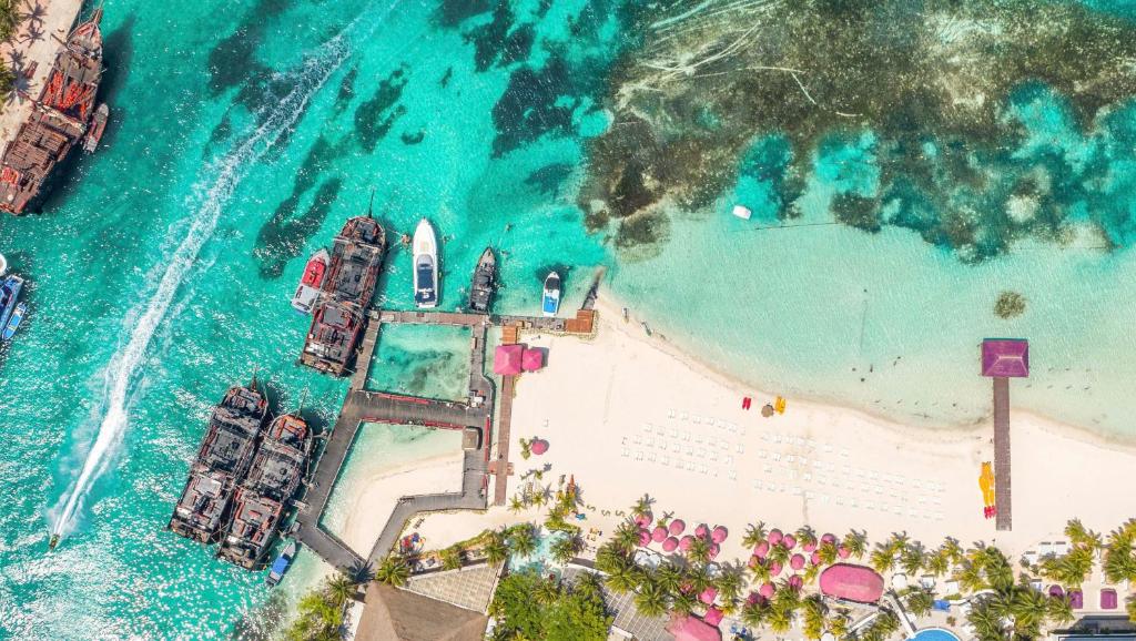 Fotos del hotel - GRAND OASIS PALM