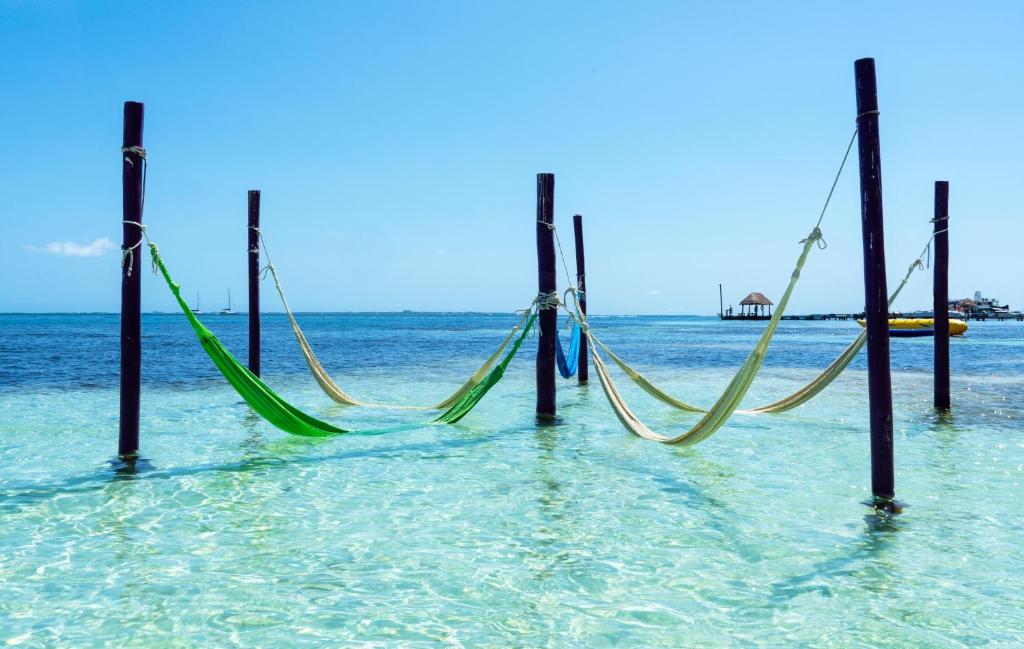 Fotos del hotel - GRAND OASIS PALM