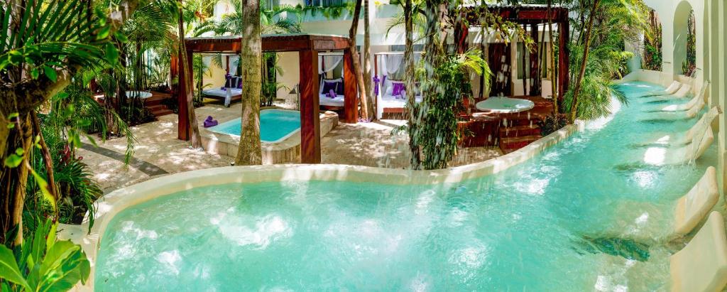 Fotos del hotel - GRAND OASIS PALM