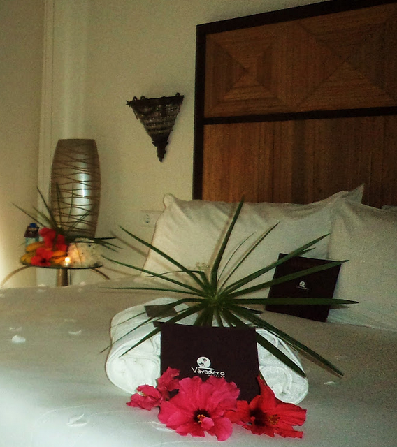 Fotos del hotel - Hotel Varadero