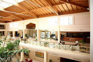 Fotos del hotel - HOTEL BARROSA PARK