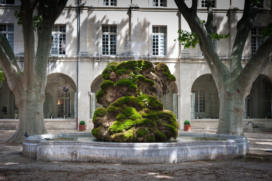 Fotos del hotel - CLOITRE SAINT LOUIS