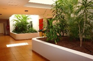 Fotos del hotel - SUNSUITE ROYAL
