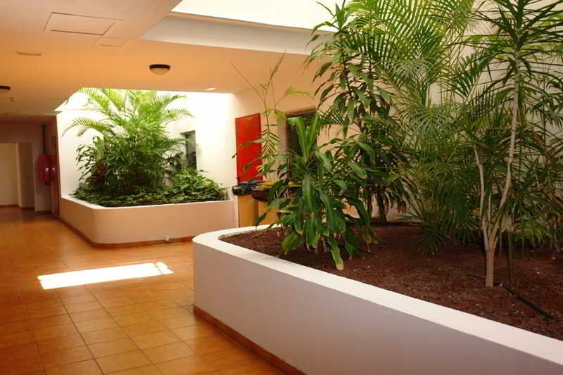 Fotos del hotel - SUNSUITE ROYAL