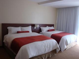 Fotos del hotel - THE VIP