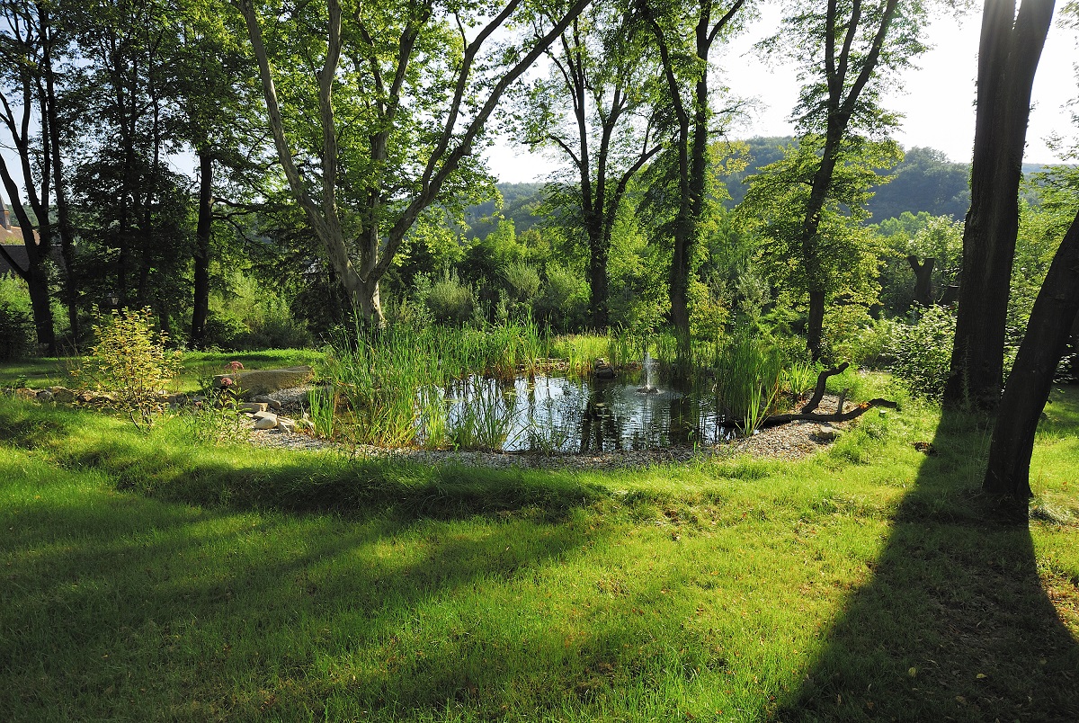 Fotos del hotel - SCHLOSSPARK MAUERBACH