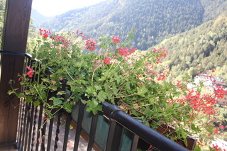 Fotos del hotel - XALET BESOLI