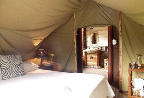 Fotos del hotel - BUFFALO HILLS GAME RESERVE