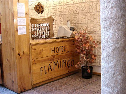 Fotos del hotel - Flamingo Hotel