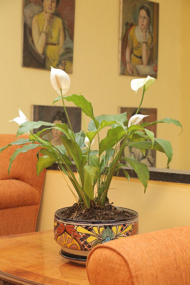 Fotos del hotel - HOTEL CASA GONZALEZ