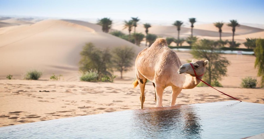 Fotos del hotel - TELAL RESORT AL AIN
