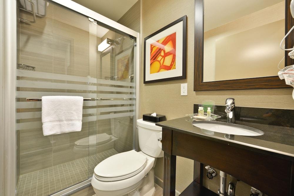 Fotos del hotel - HOLIDAY INN LOWER EAST SIDE