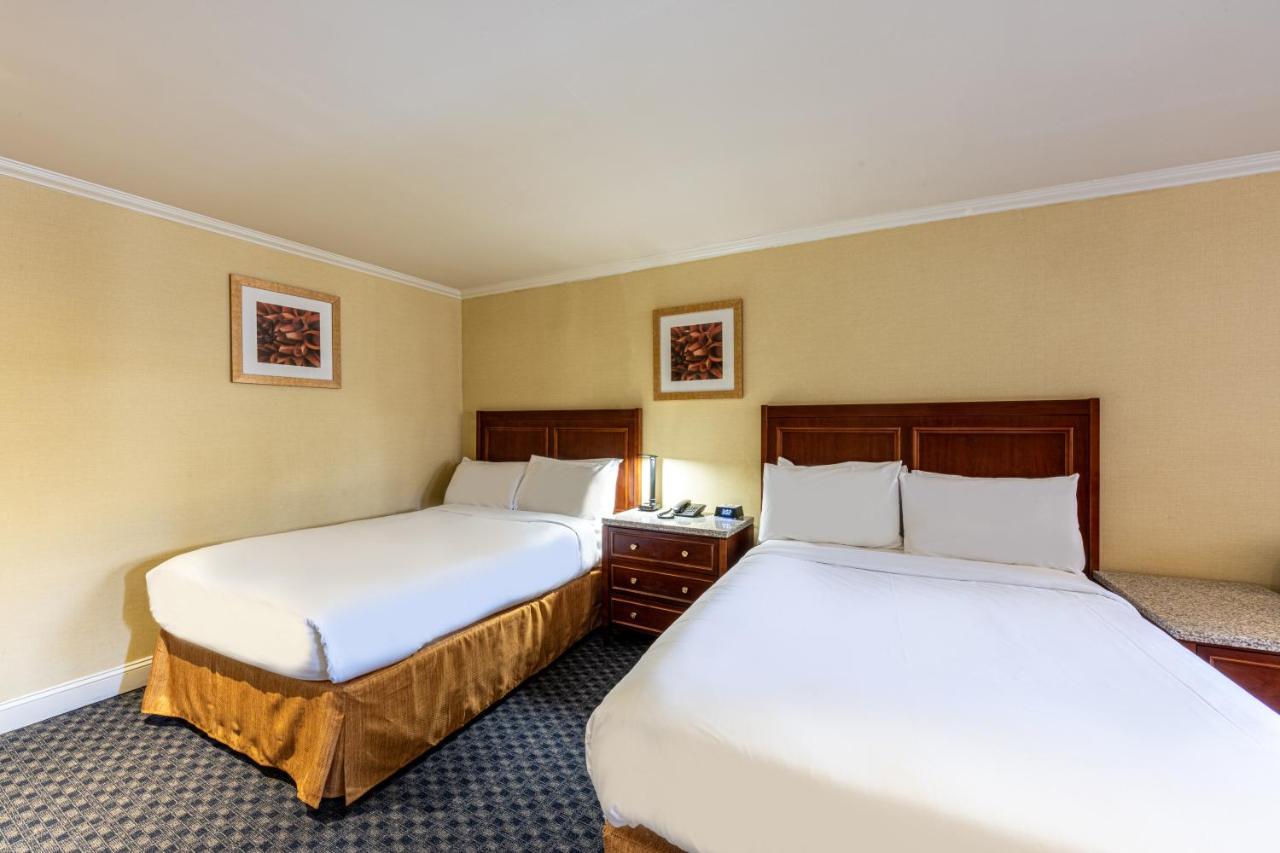 Fotos del hotel - STANFORD HOTEL