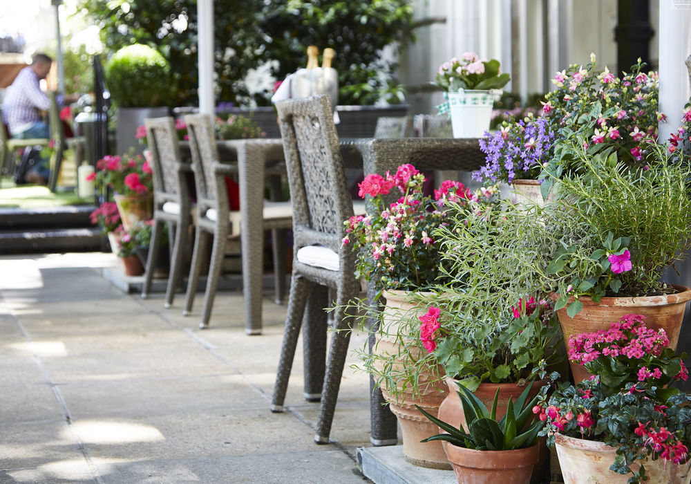 Fotos del hotel - THE ROYAL HORSEGUARDS HOTEL