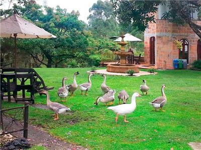 Fotos del hotel - LLANOGRANDE INN HOTEL