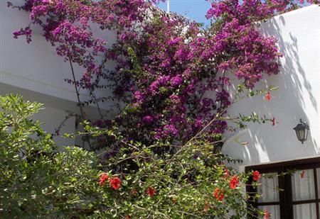 Fotos del hotel - MARIANNA HOTEL