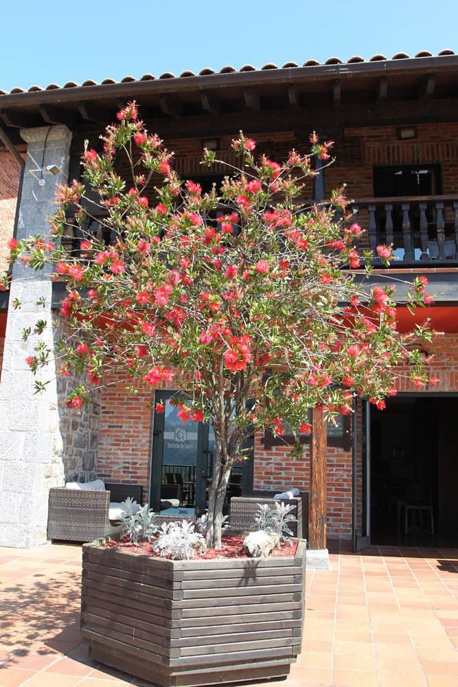 Fotos del hotel - Hotel Mirador de La Cepada