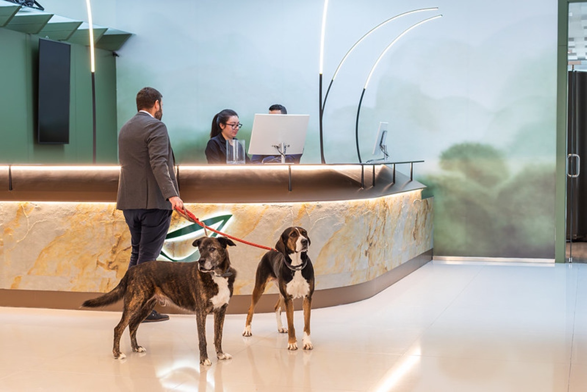 Fotos del hotel - ABBA HUESCA