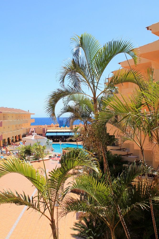 Fotos del hotel - Marino Tenerife