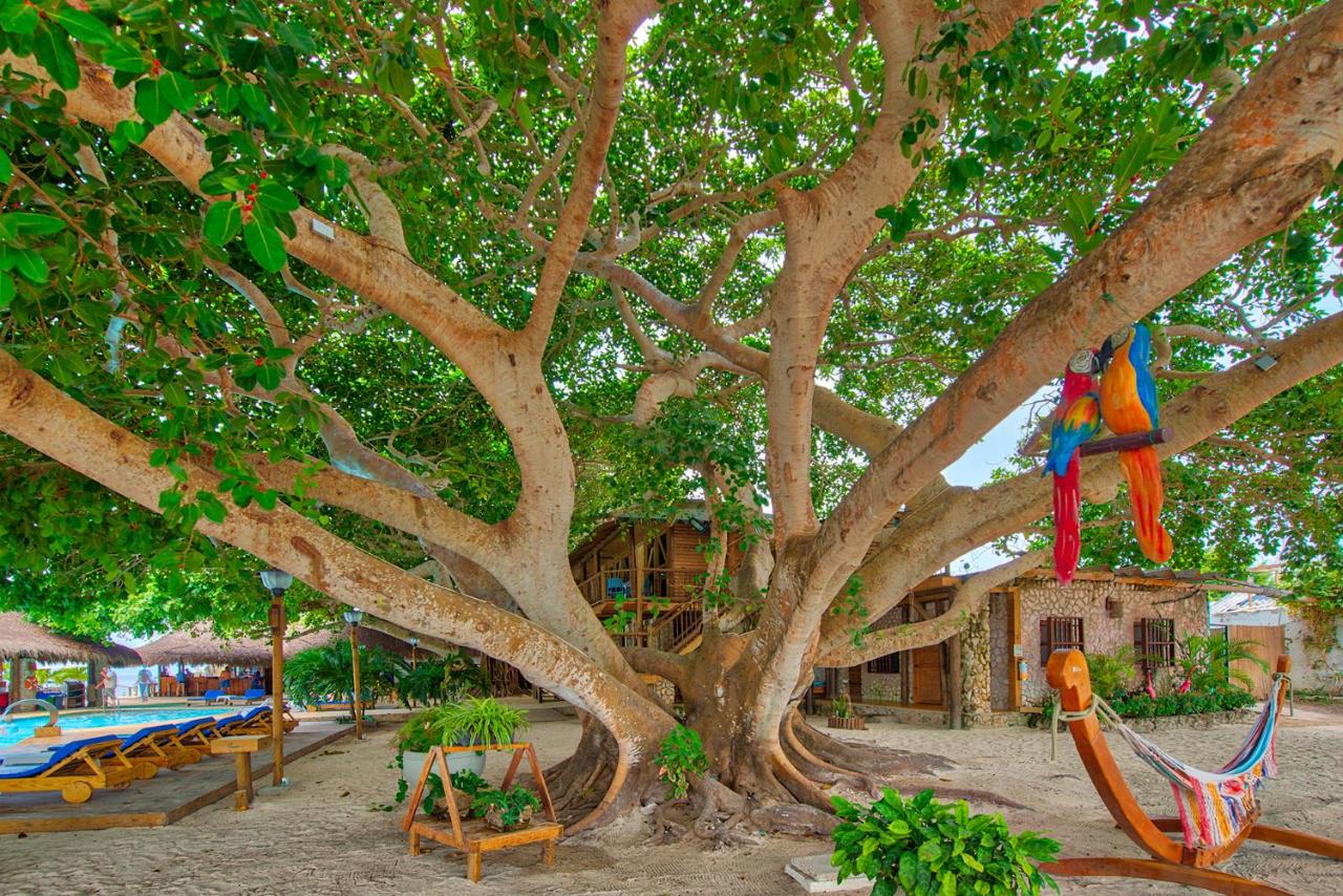 Fotos del hotel - ISLA DEL ENCANTO