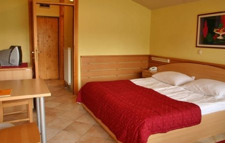 Fotos del hotel - Ljubljana Resort