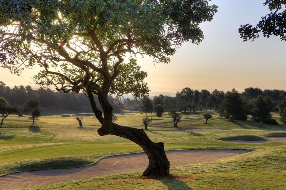 Fotos del hotel - SHERATON MALLORCA ARABELLA GOLF HOTEL