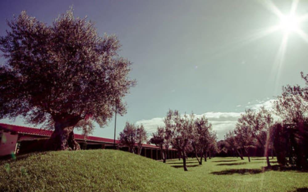 Fotos del hotel - All Ways Garden Hotel & Leisure