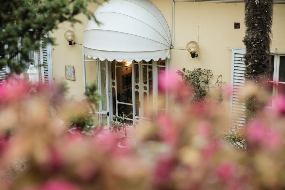 Fotos del hotel - Villa Liana