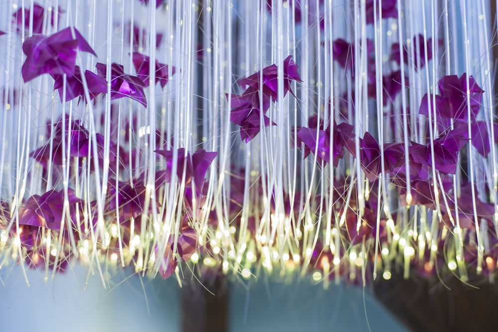 Fotos del hotel - THE LEVIN