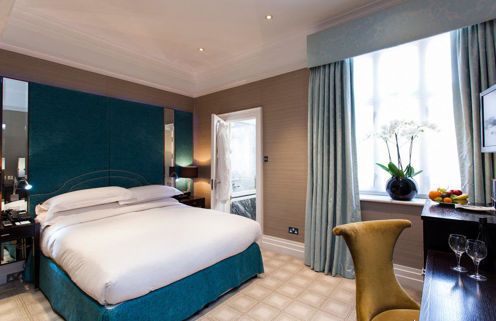 Fotos del hotel - THE LEVIN